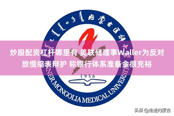 炒股配资杠杆哪里有 美联储理事Waller为反对放慢缩表辩护 称银行体系准备金很充裕