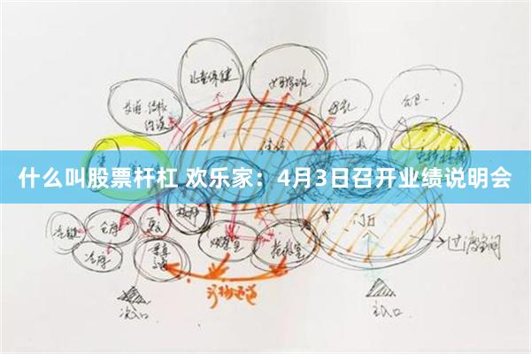 什么叫股票杆杠 欢乐家：4月3日召开业绩说明会