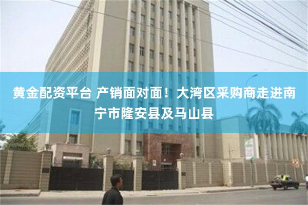黄金配资平台 产销面对面！大湾区采购商走进南宁市隆安县及马山县
