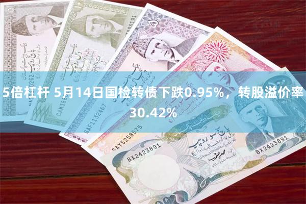 5倍杠杆 5月14日国检转债下跌0.95%，转股溢价率30.42%