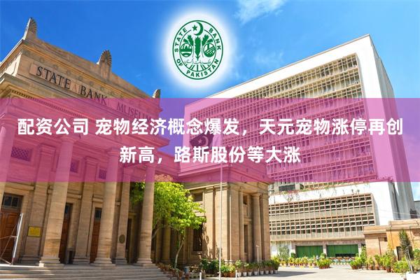 配资公司 宠物经济概念爆发，天元宠物涨停再创新高，路斯股份等大涨