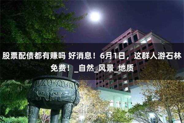 股票配债都有赚吗 好消息！6月1日，这群人游石林免费！_自然_风景_地质