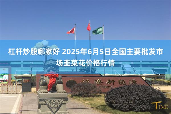 杠杆炒股哪家好 2025年6月5日全国主要批发市场韭菜花价格行情