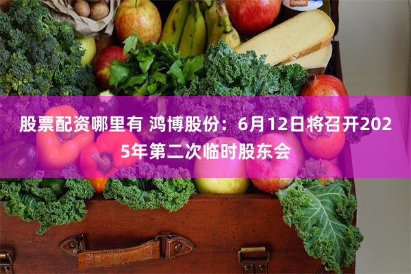 股票配资哪里有 鸿博股份：6月12日将召开2025年第二次临时股东会