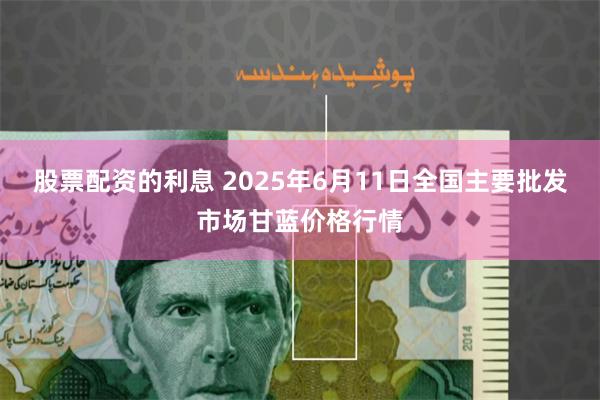 股票配资的利息 2025年6月11日全国主要批发市场甘蓝价格行情