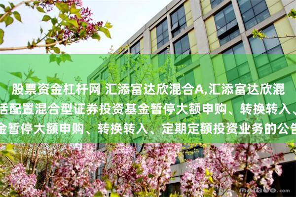 股票资金杠杆网 汇添富达欣混合A,汇添富达欣混合C: 关于汇添富达欣灵活配置混合型证券投资基金暂停大额申购、转换转入、定期定额投资业务的公告