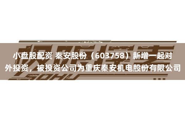 小盘股配资 秦安股份（603758）新增一起对外投资，被投资公司为重庆秦安机电股份有限公司