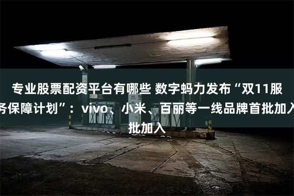 专业股票配资平台有哪些 数字蚂力发布“双11服务保障计划”：vivo、小米、百丽等一线品牌首批加入