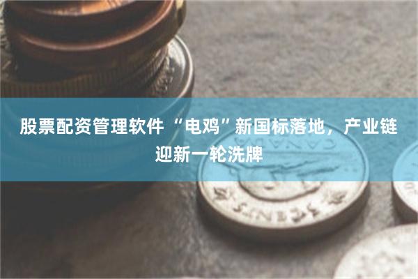 股票配资管理软件 “电鸡”新国标落地，产业链迎新一轮洗牌